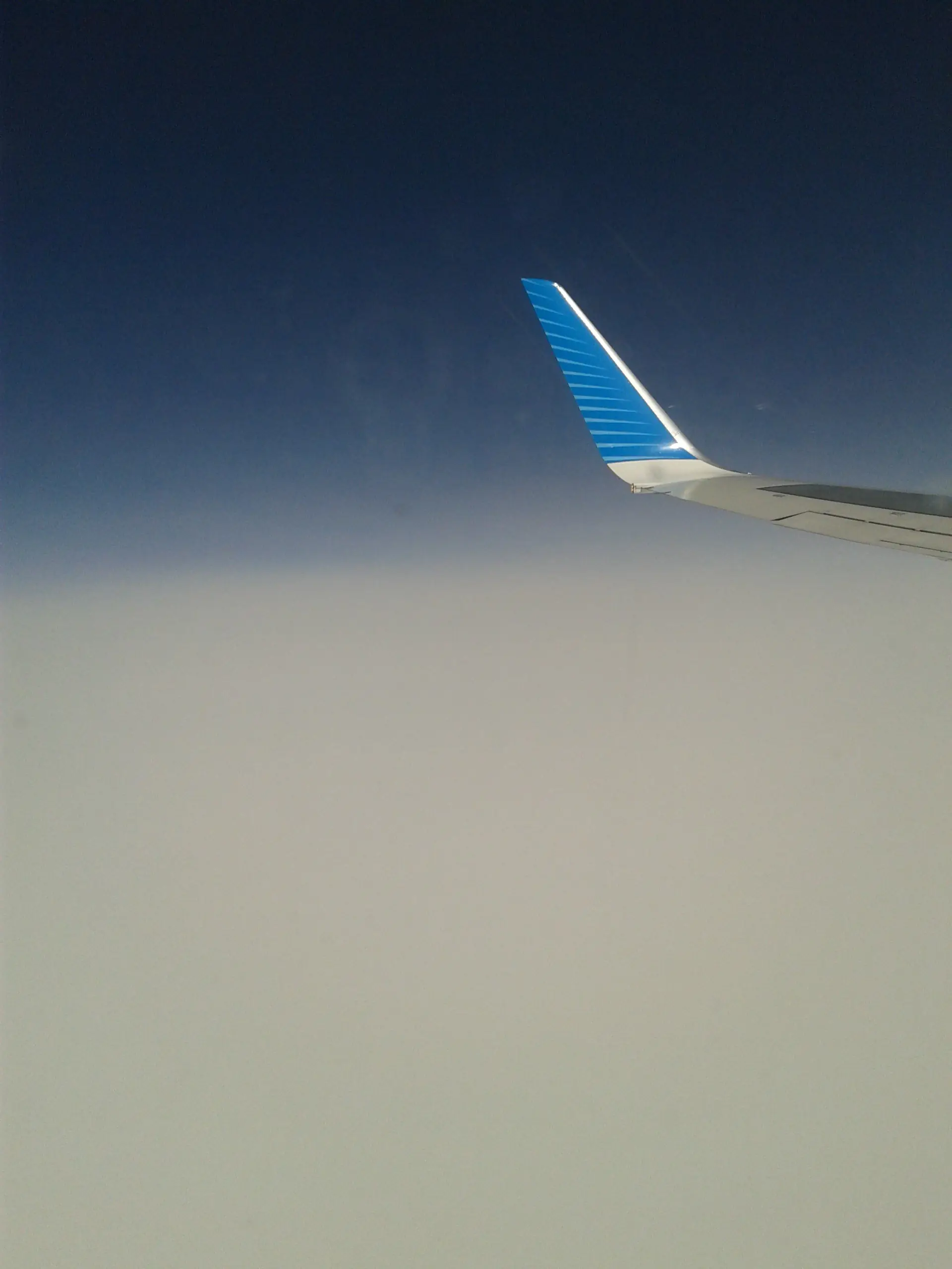 avion avion
