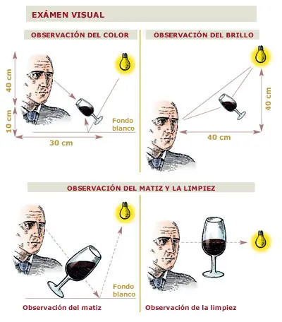 Curso