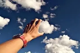 paz paz