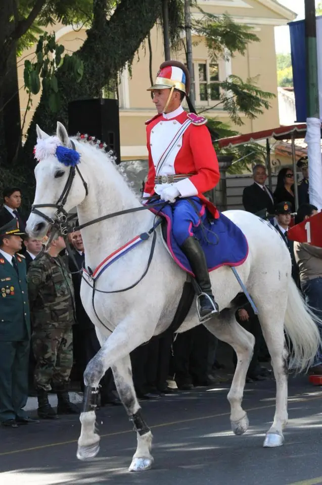 Kamiseta Pyta'i Guerra de la Triple Alianza