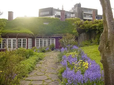 casas con techo verde