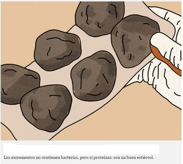 curiosidades cientificas