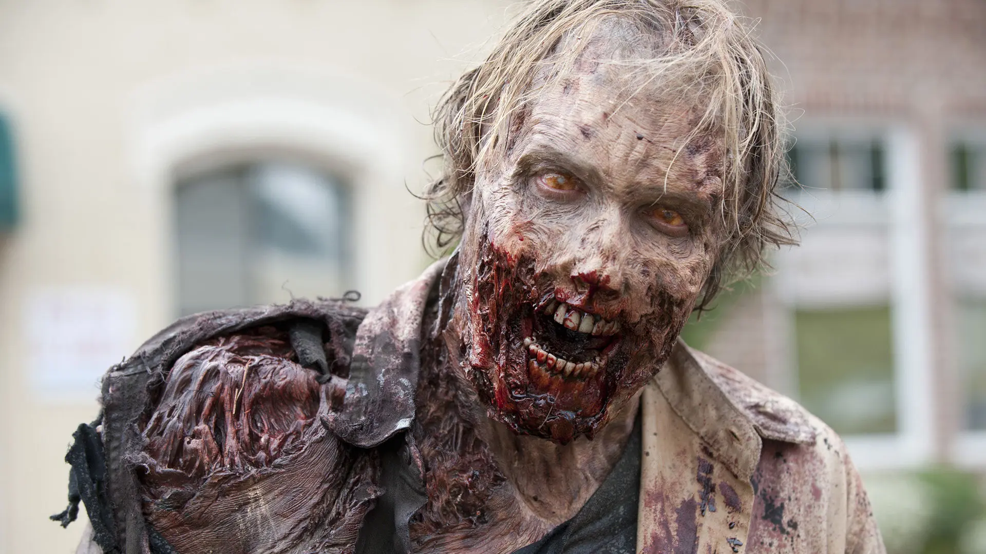 ¿ Qué harías si en Argentina hay una pandemia zombie?