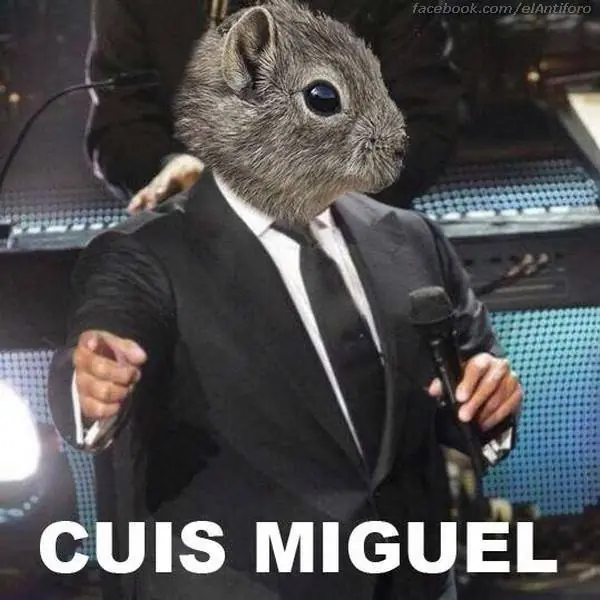 grafico