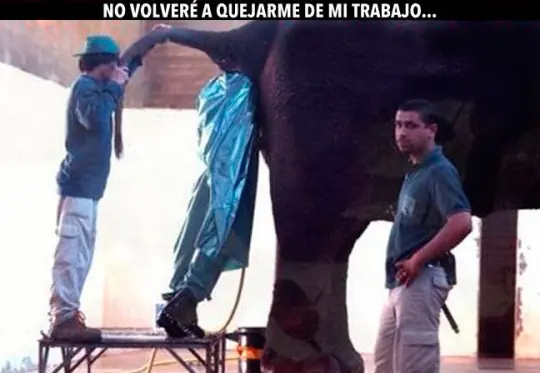 trabajo