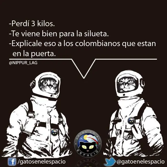 humor no tan inteligente