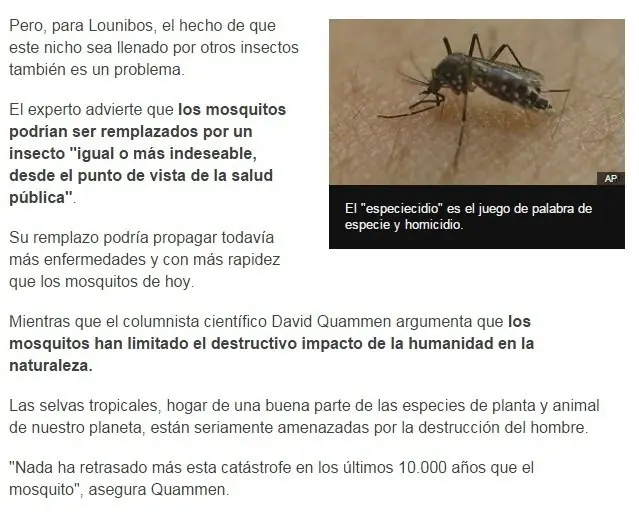 mosquitos mosquitos