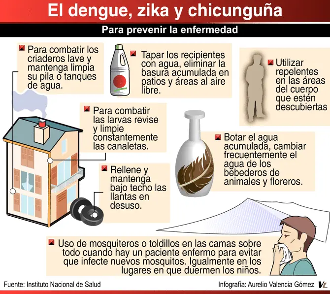 mosquito