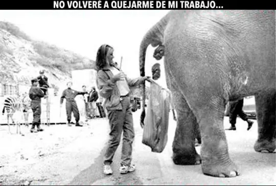 humor