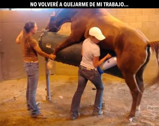 trabajo