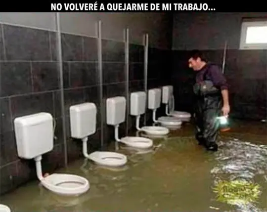 trabajo