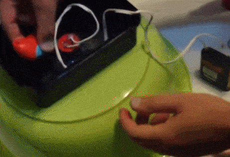 Gifs