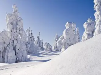 La verdadera y oscura historia de Santa Claus en un cuento.