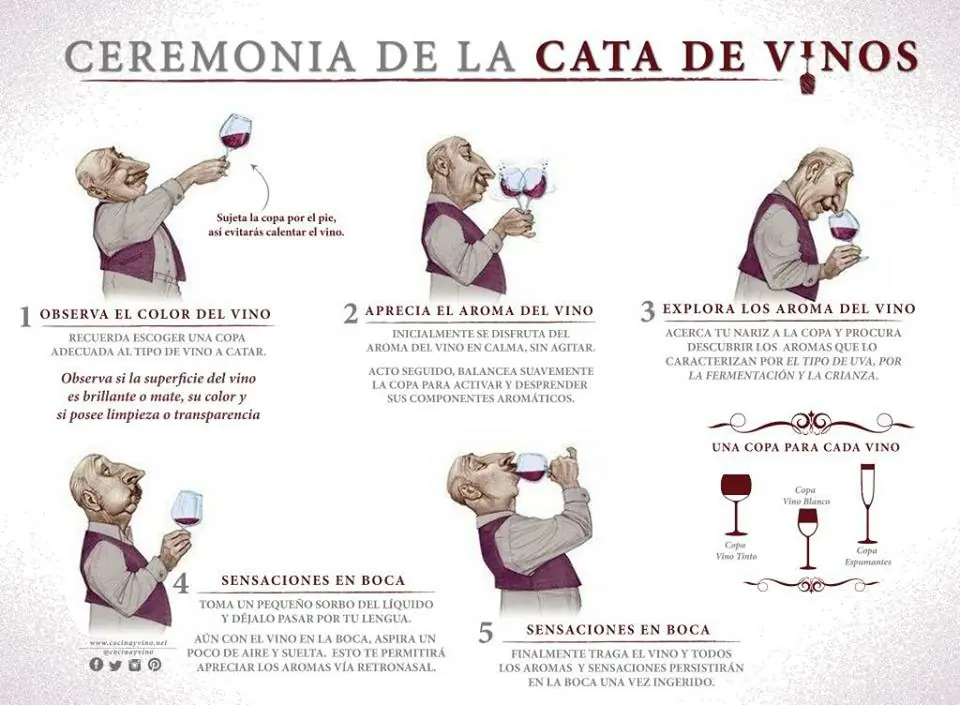 Aprende a ser catador de vino
