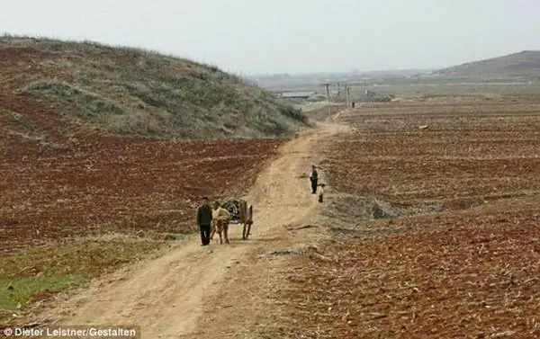 north korea