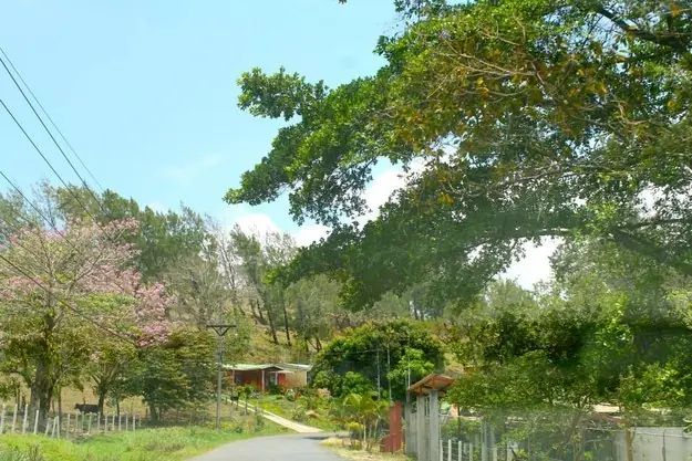 25 razones de porqué un viaje a Costa Rica podría cambiarte 25 razones de porqué un viaje a Costa Rica podría cambiarte