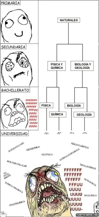 memes
