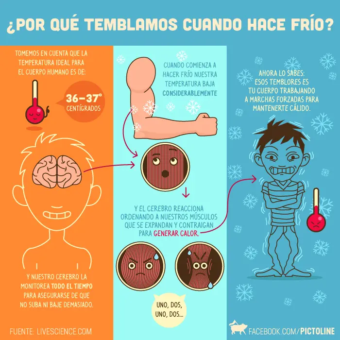 educacion