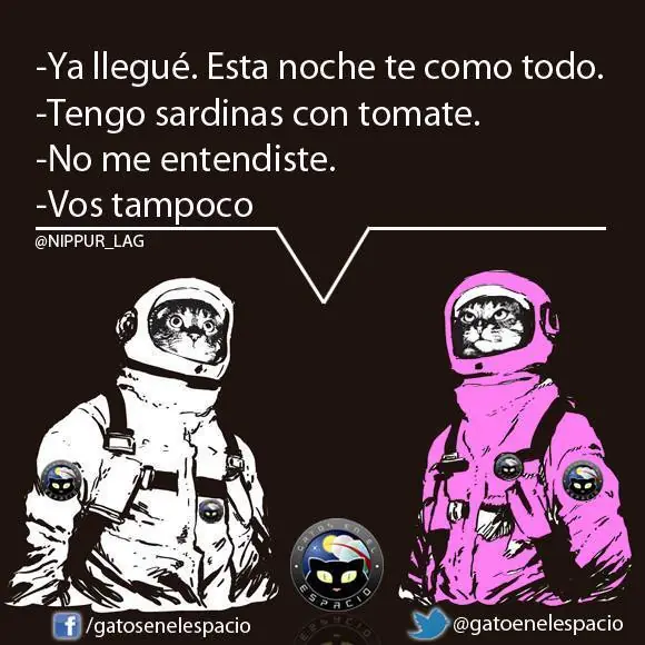 memes