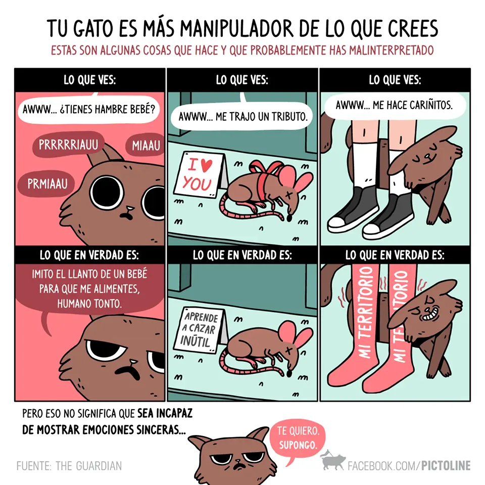 imagenes curiosas con texto