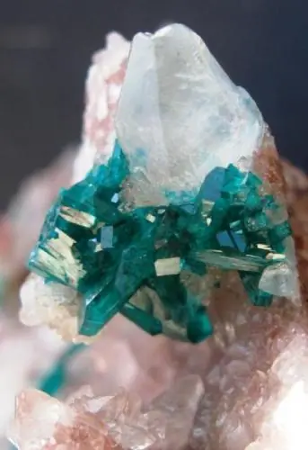 minerales