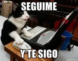 Oso de agua