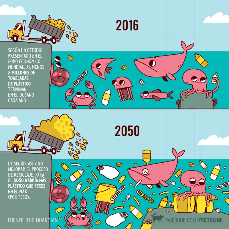 pictoline facebook