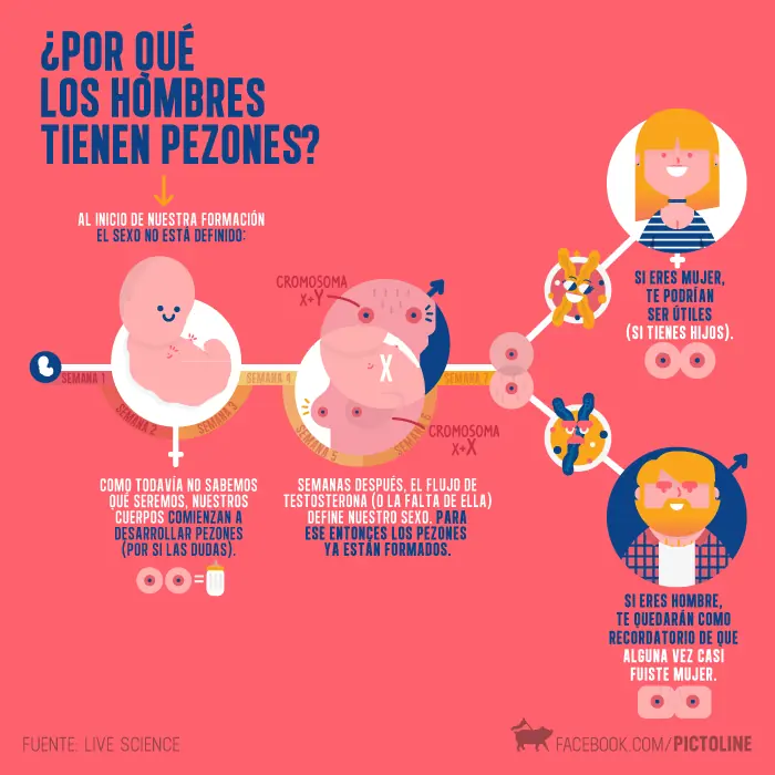 Pictoline la pagina con Inteligencia Colectiva de Facebook!