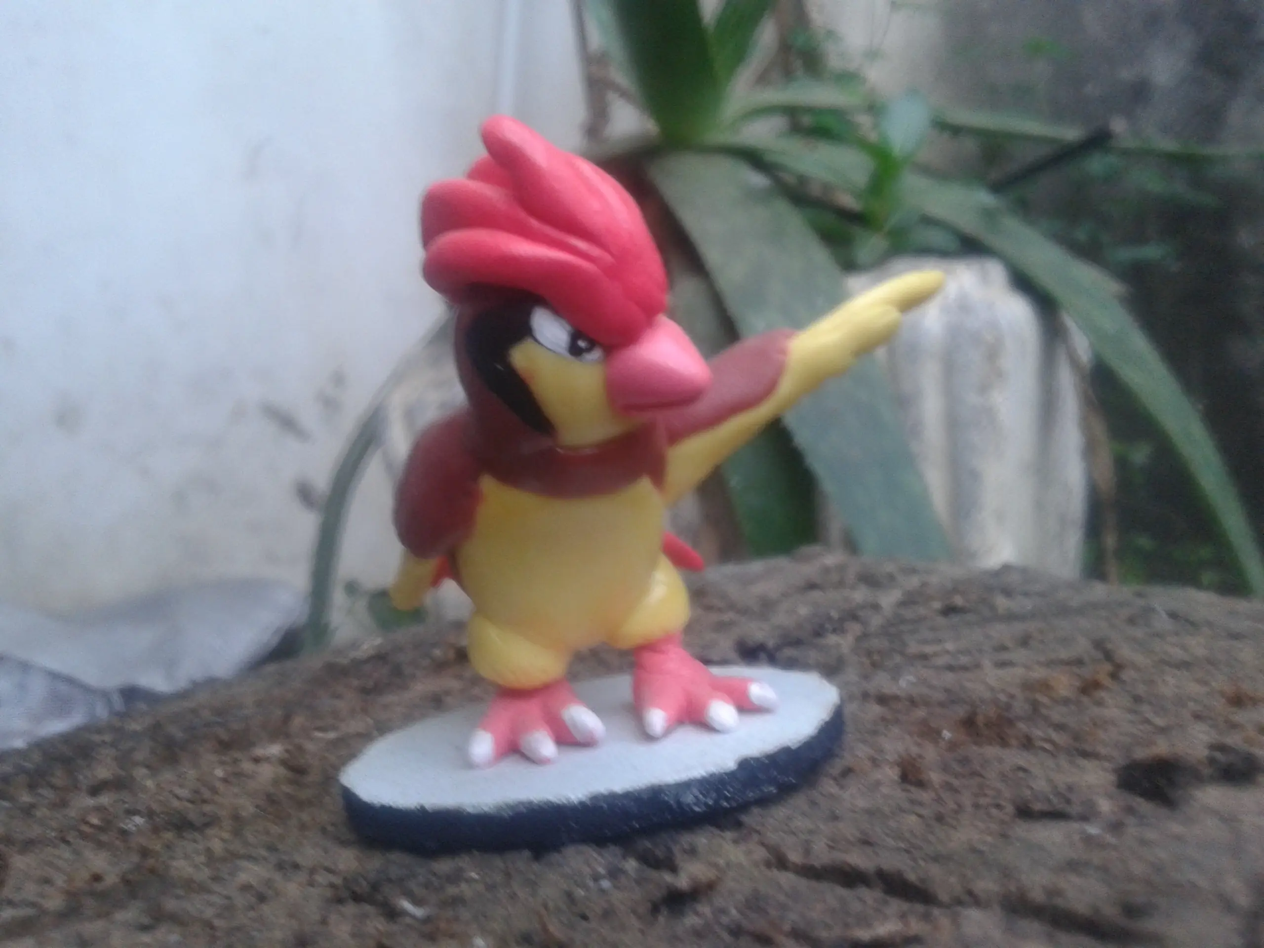 pokemon