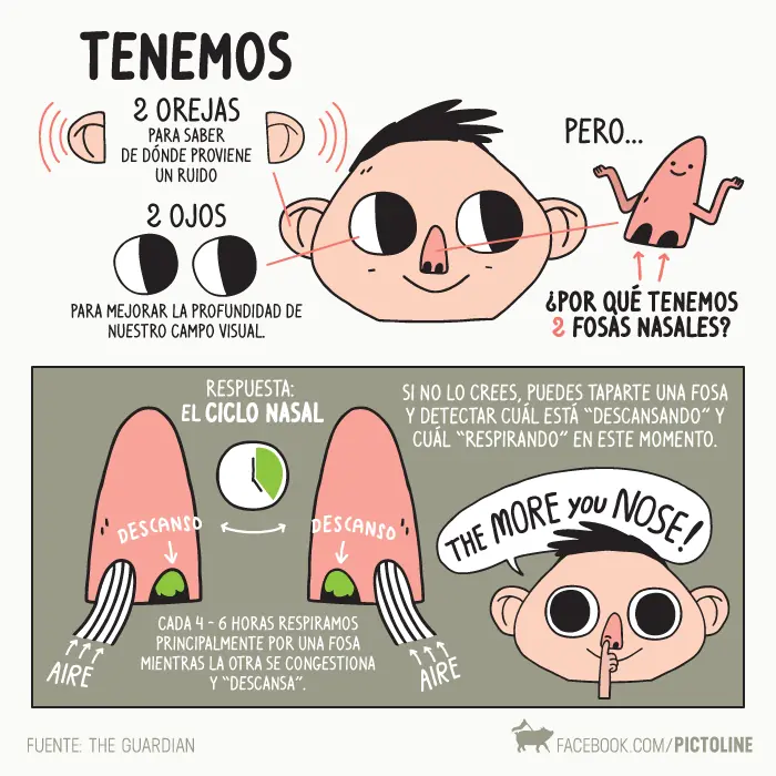 educacion