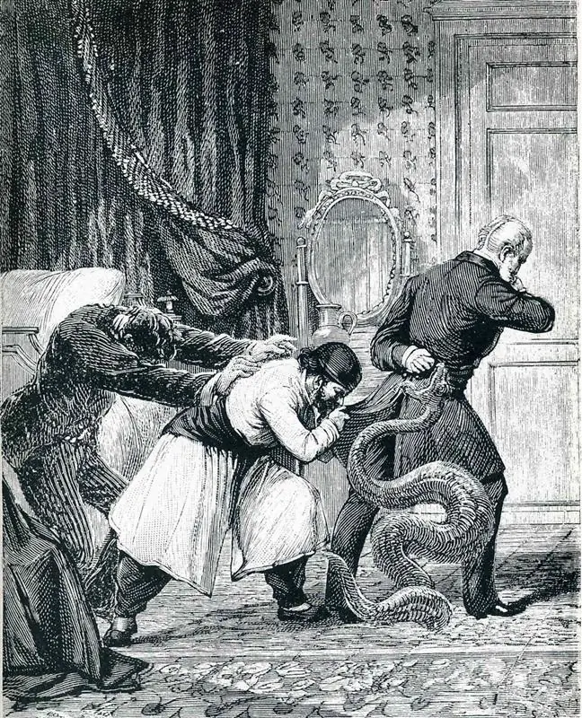 ilustracion ilustracion