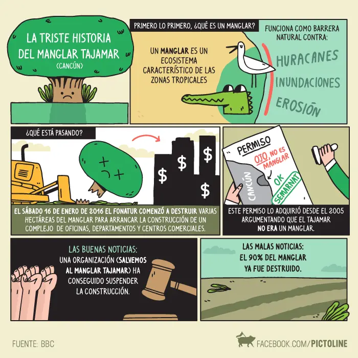 pictoline facebook