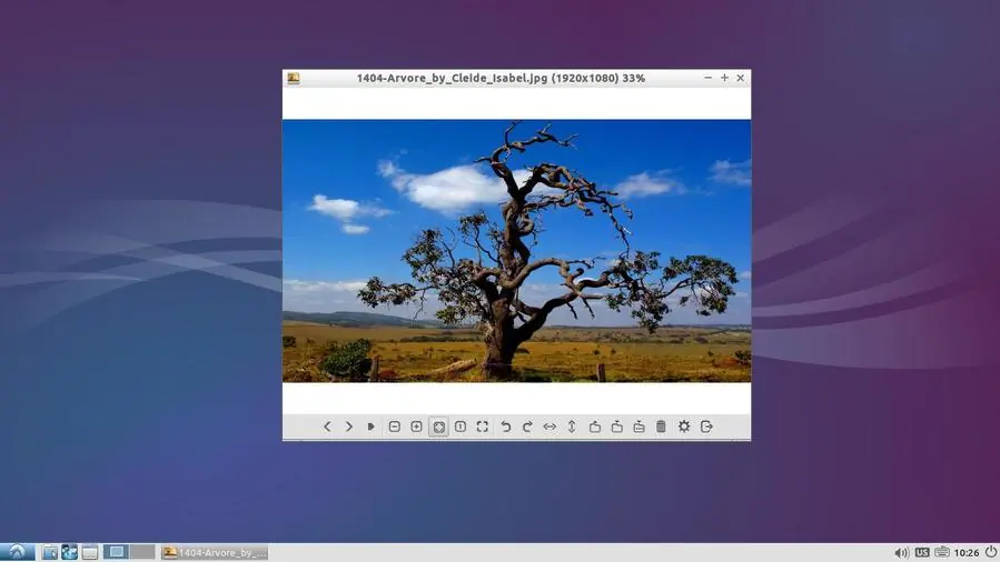 Escoge el mejor linux de tu preferencia