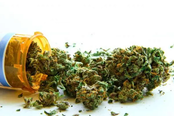 Estudio: Cannabis (Marihuana) efectiva contra el Alzheimer
