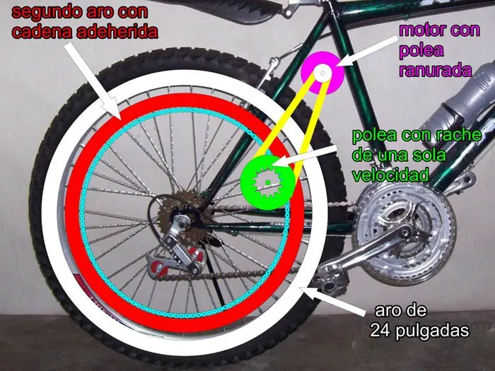 Recomendados