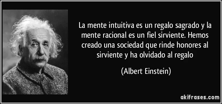 Albert Einstein, genio o farsante?