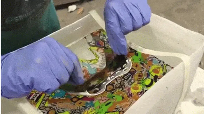 TaringaElegidos