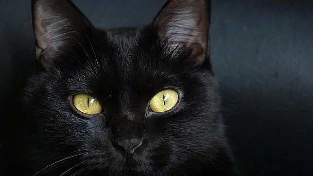 supersticion