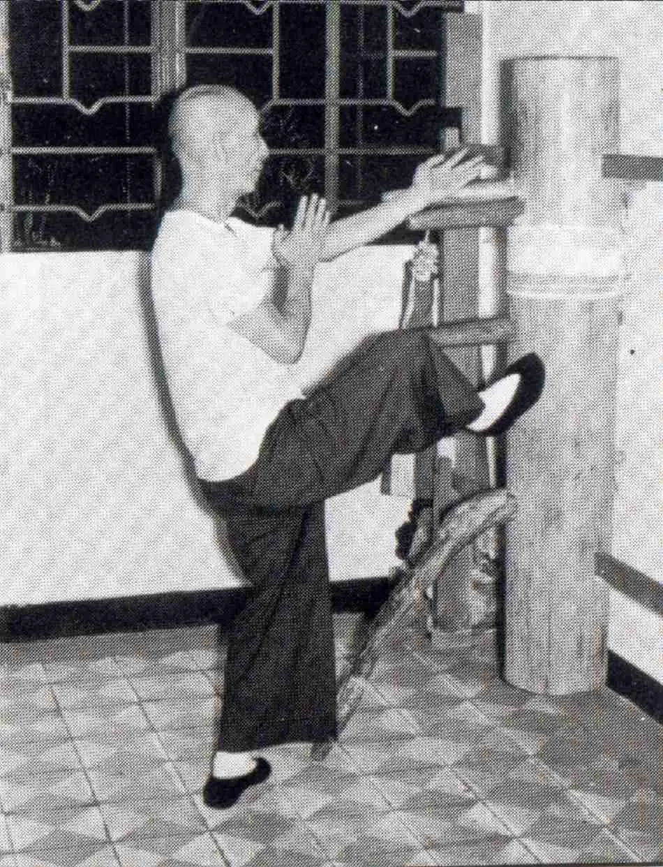Ip Man, Yo te banco!!