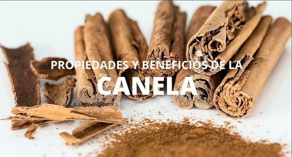 Todo sobre la Canela