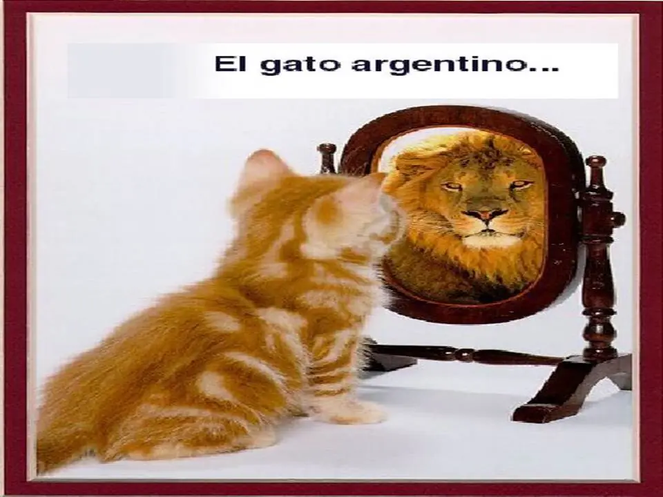 humor humor