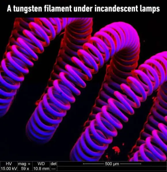 fotos graciosas