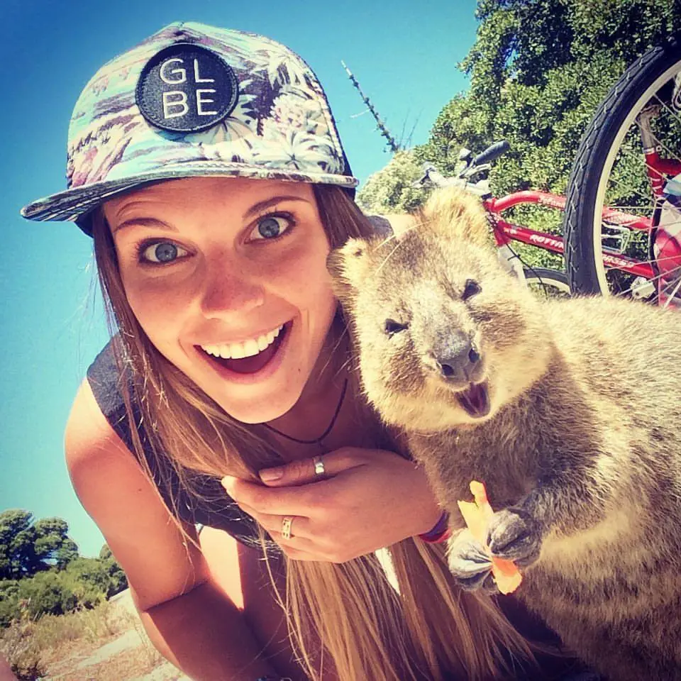 Quokka