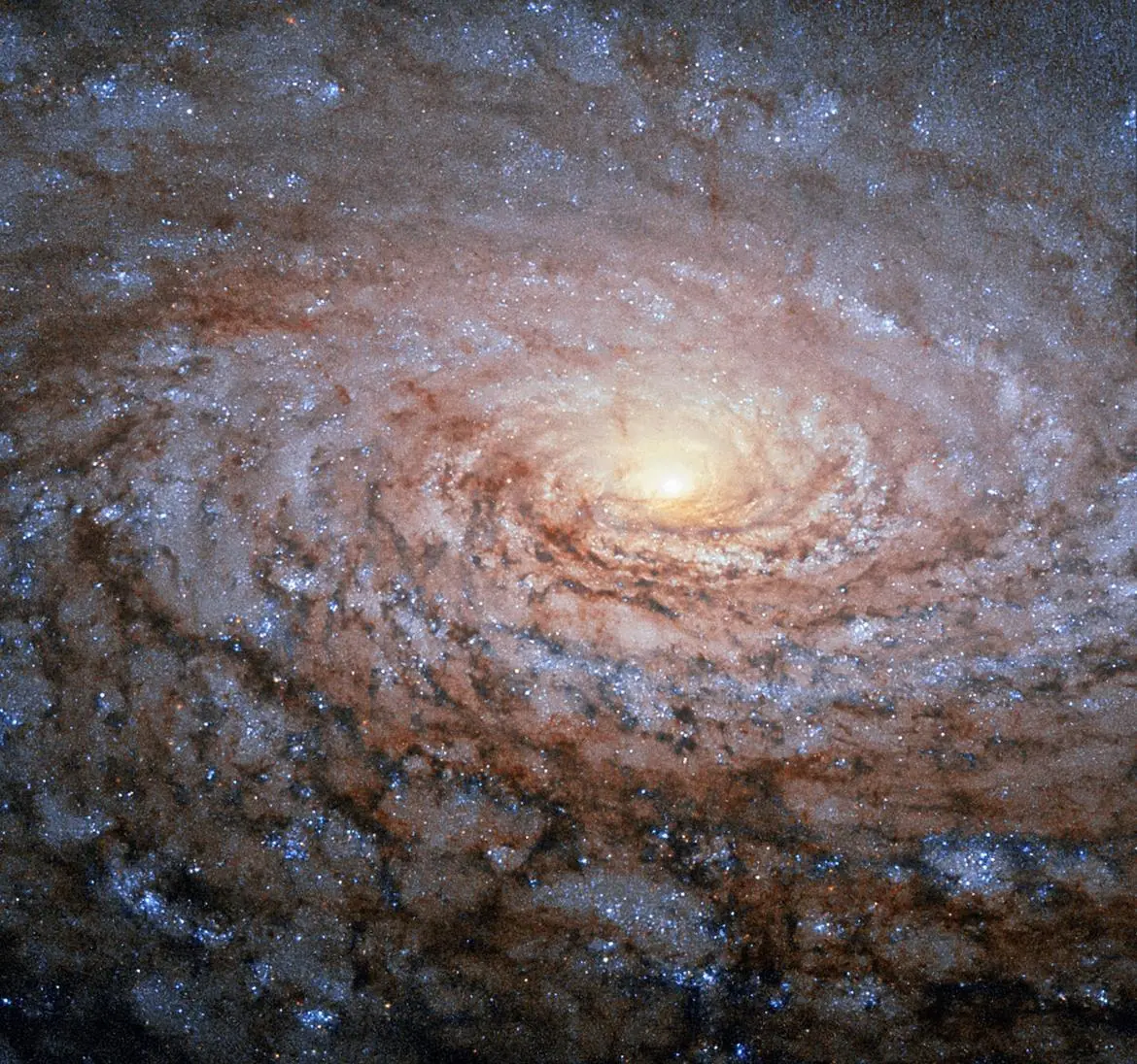 Imagenes y datos con claridad que no sabes del Universo