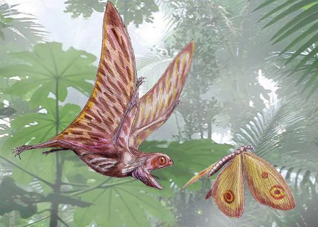 meganeura meganeura