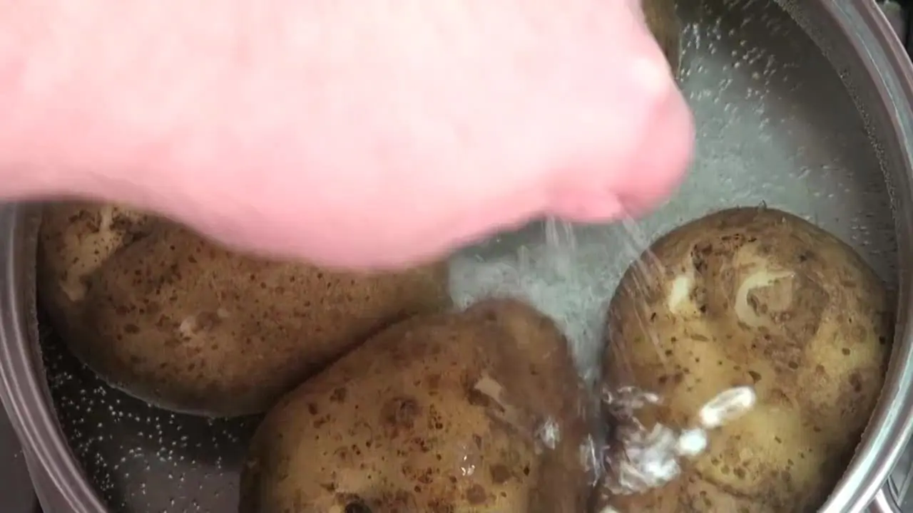muzzarella