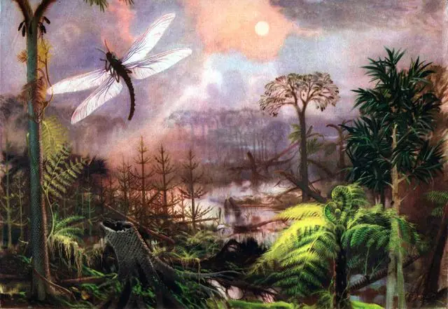 insectos insectos