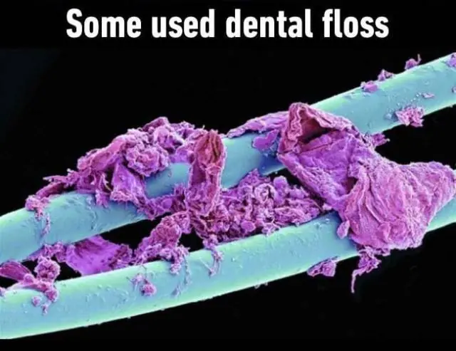 microscopio
