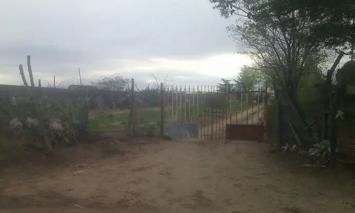 Cutral Co: un policía mató a balazos a una perra.