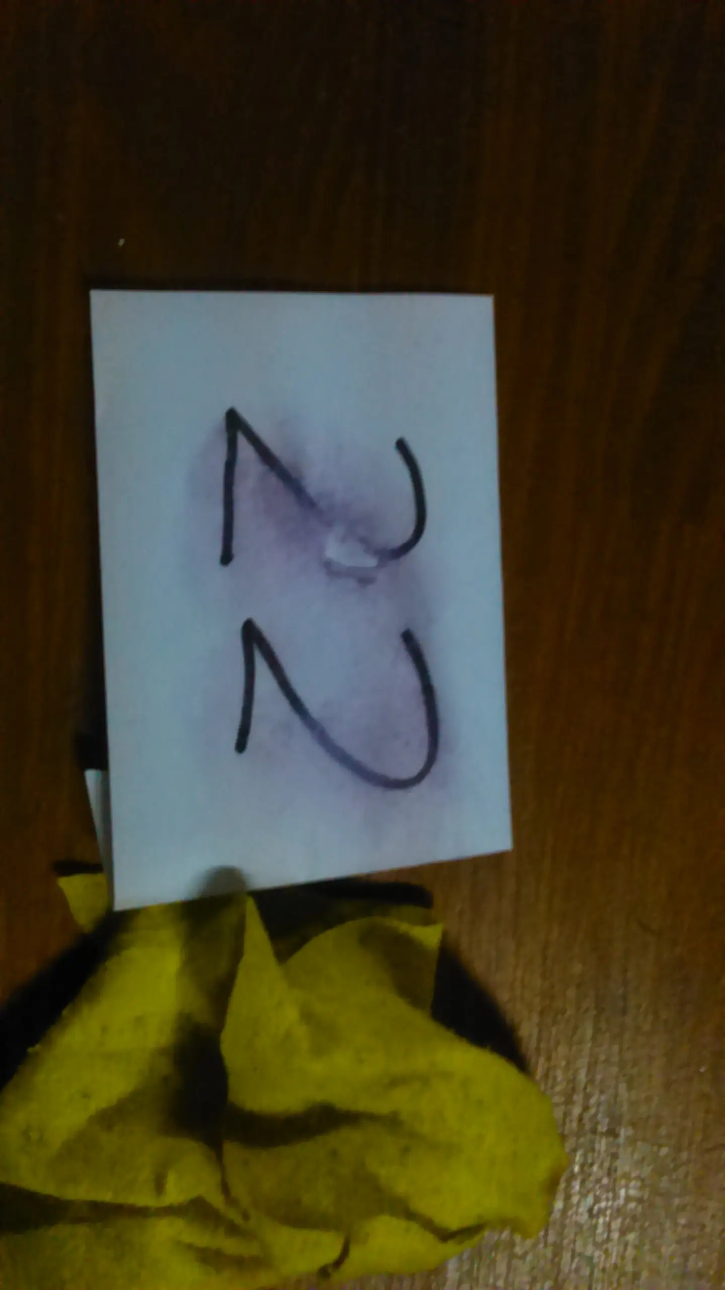 revolver 22